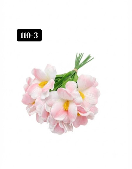 زعفران ربيعي "10 وردات"